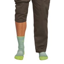 Icebreaker Wander Sock Crew Hike+ Light (Merino wool, durable, lightweight) green men's